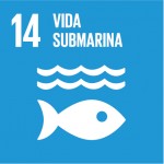 Objetivo de Desarrollo Sostenible 14
